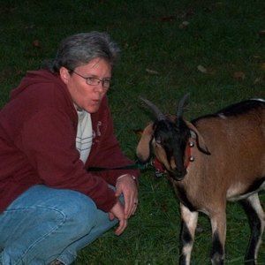 Meet your Posher, Sue